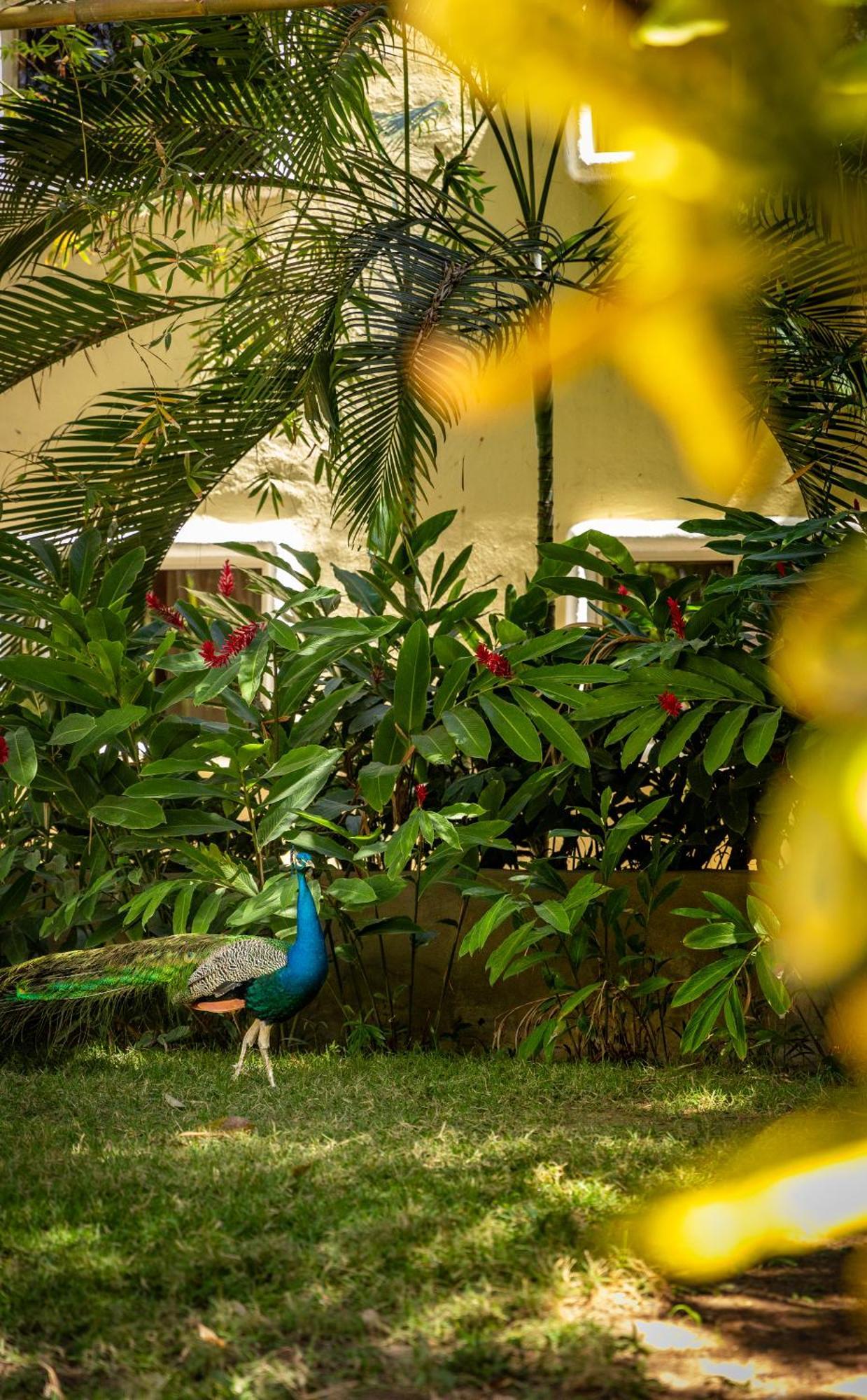 Hotel Villas Sayulita Esterno foto