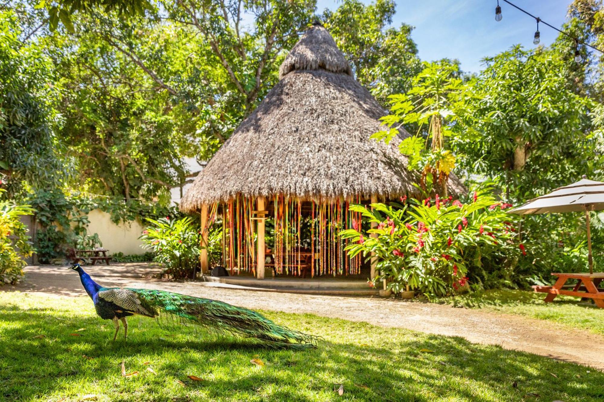 Hotel Villas Sayulita Esterno foto